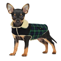 Preferhouse chaqueta de invierno para perro, vista frontal, mantiene caliente durante paseos.