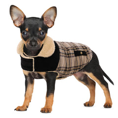 Preferhouse chaqueta invierno para perro frente, ideal para paseos diarios.