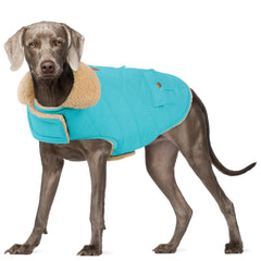 Preferhouse chaqueta invierno para perro XL azul, para paseos en frío.