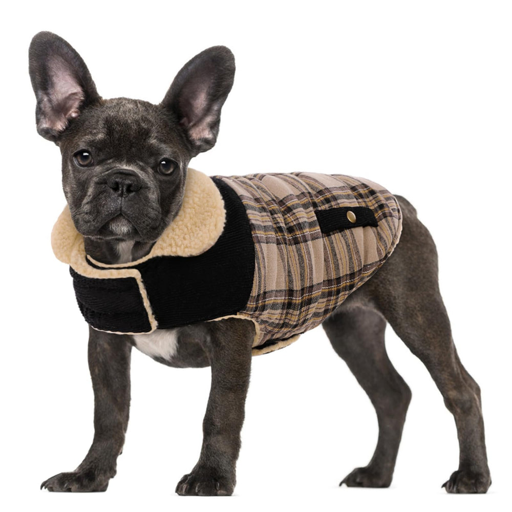 Abrigo Preferhouse para perro, vista frontal, mantiene cálido durante paseos.