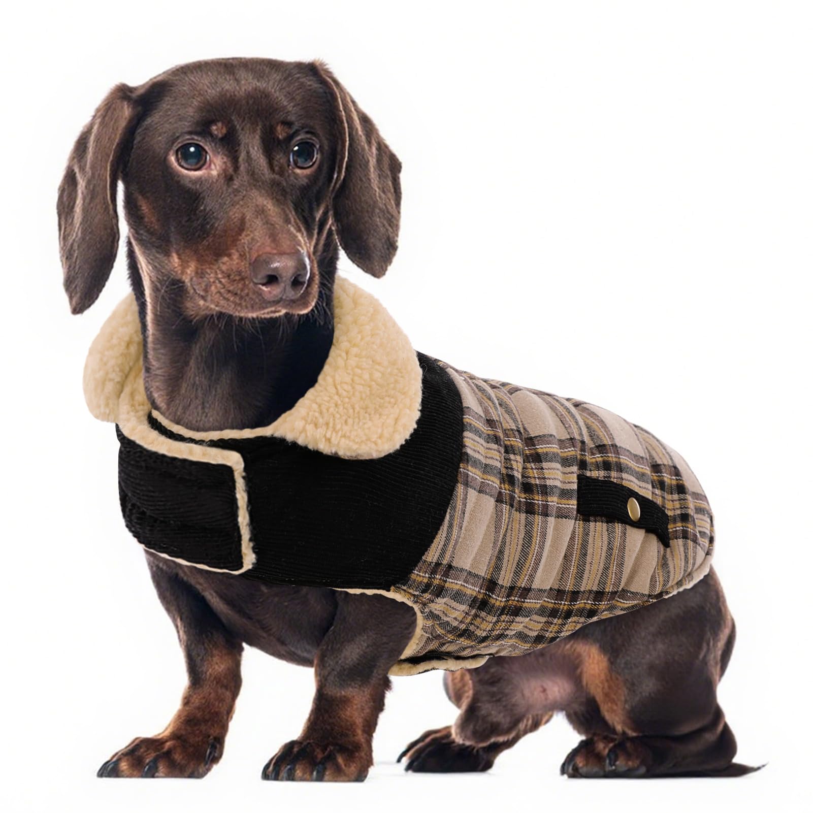 Preferhouse abrigo para perros con diseño a cuadros, vista frontal, ideal para paseos invernales.