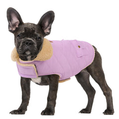 Preferhouse chaqueta de invierno para perros, vista frontal, ideal para paseos diarios