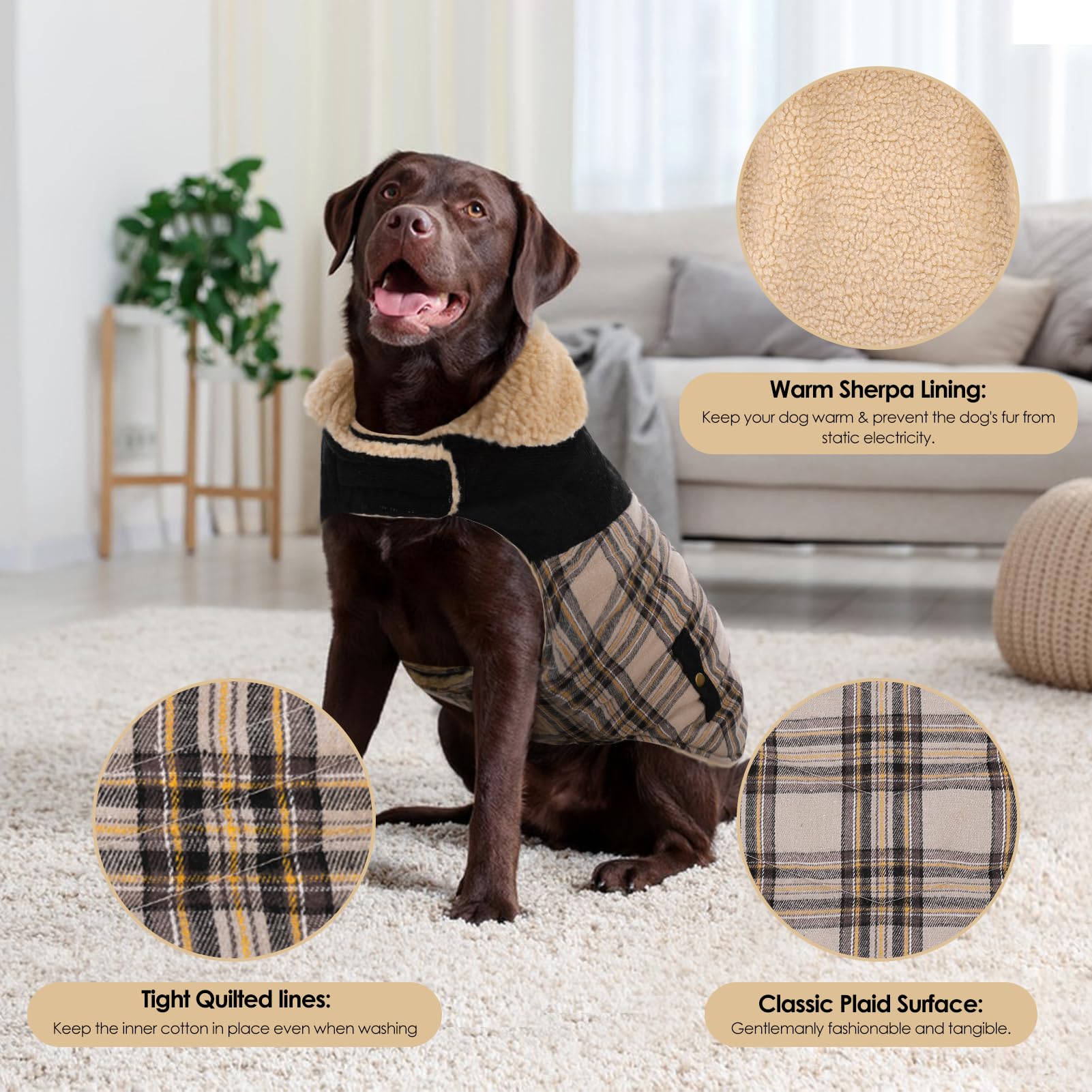 Preferhouse diseño clásico en cuadros, añade estilo y presencia elegante.