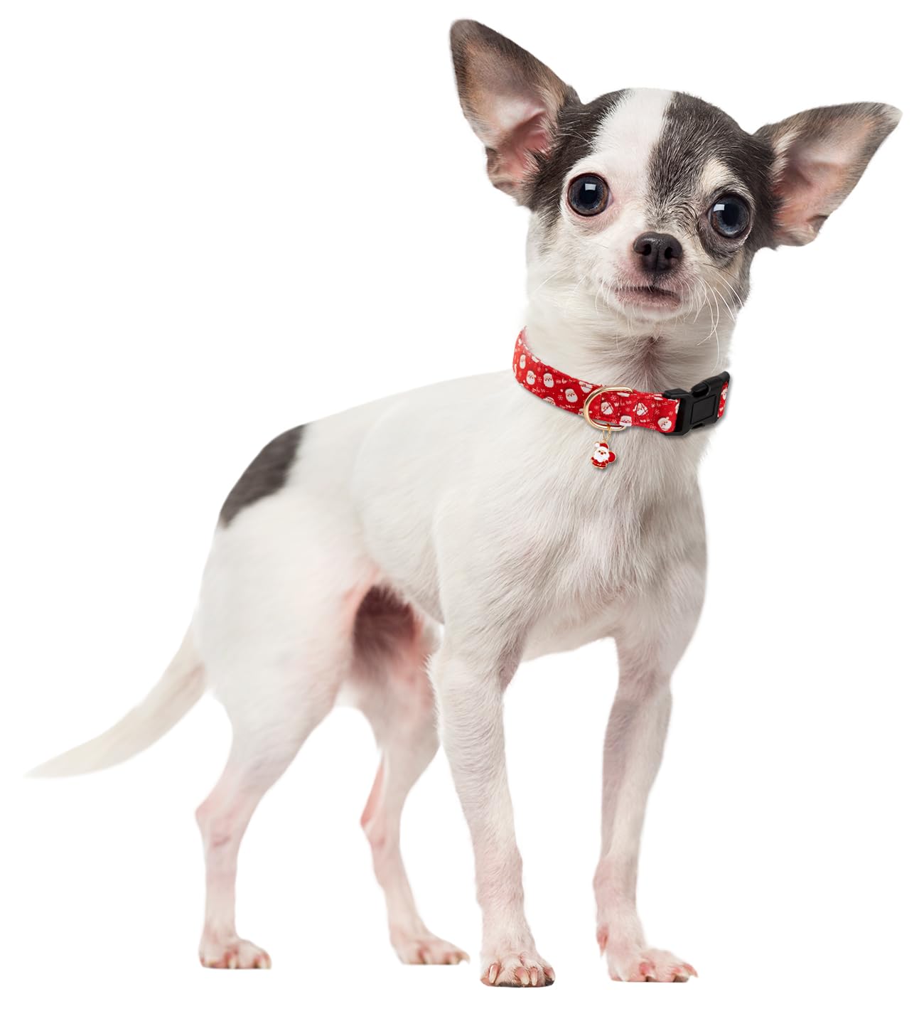 Collar PREHAI de cierre seguro para Navidad, perfecto para aventuras.