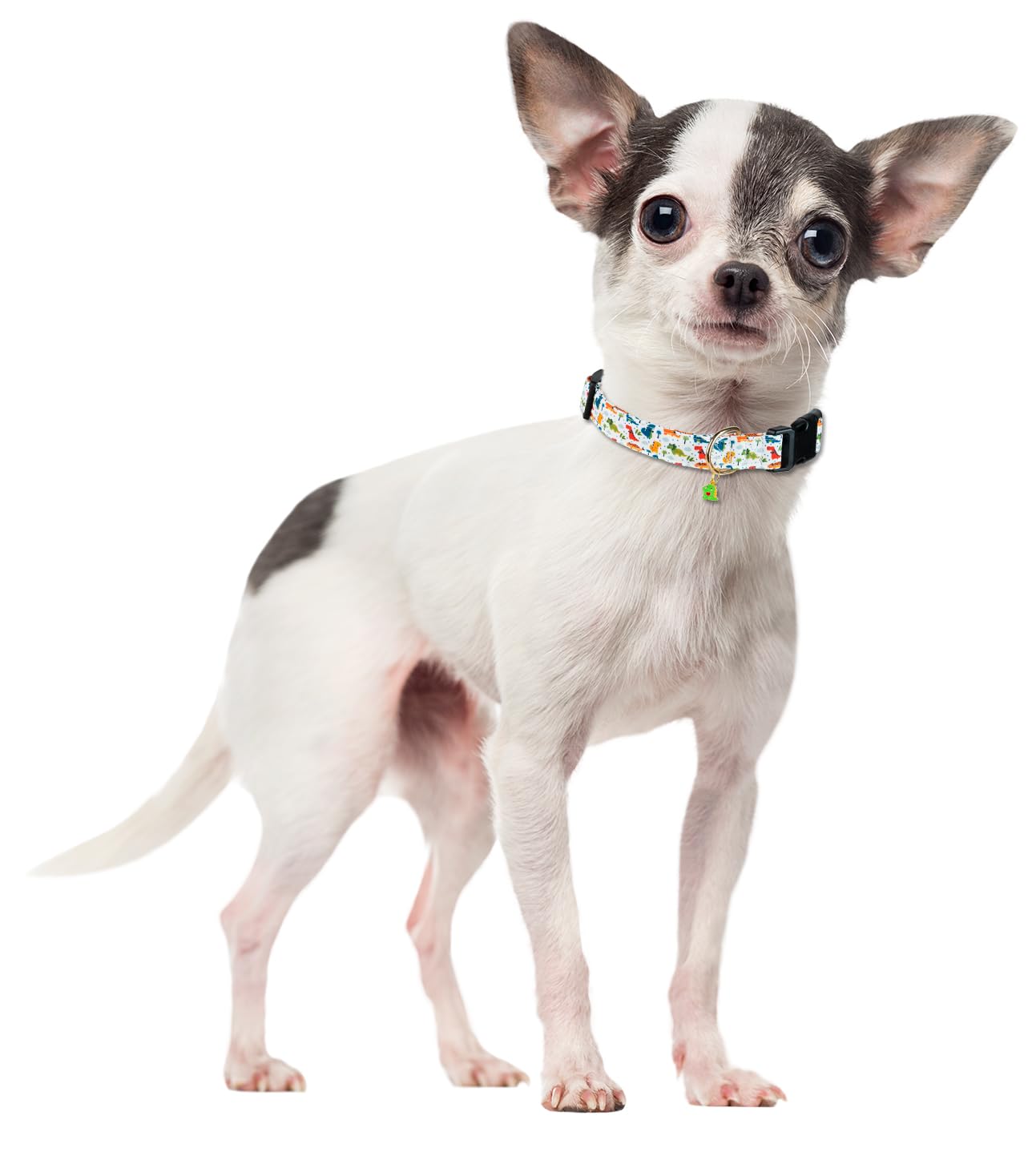 Collar PREHAI con charm de dinosaurio blanco, añade estilo a cada paseo.