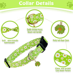 PREHAI collar colorido con colgante adorable para perros grandes y pequeños.