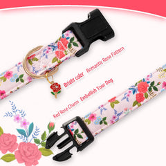 Collar PREHAI con doble pespunte, más duradero para aventuras diarias.