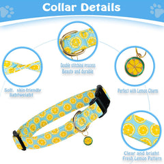 Collar PREHAI con charm adorable para realzar el estilo de tu mascota.