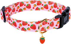 PREHAI collar perro suave algodon, paseo diario cómodo y suave al tacto.