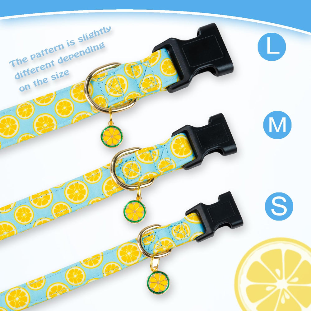 Collar PREHAI de talla ajustable para perros pequeños, medianos y grandes.
