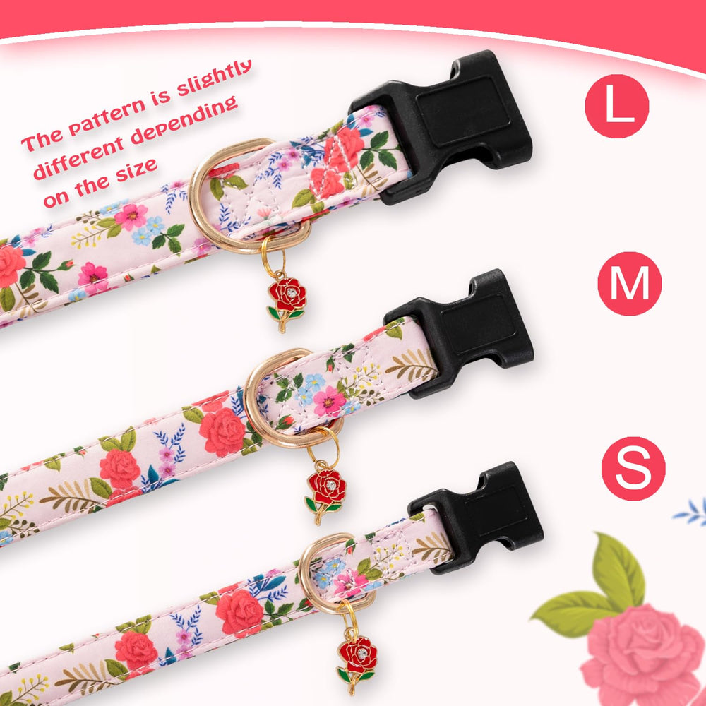 Collar PREHAI con tallas variadas para perros pequeños, medianos y grandes.