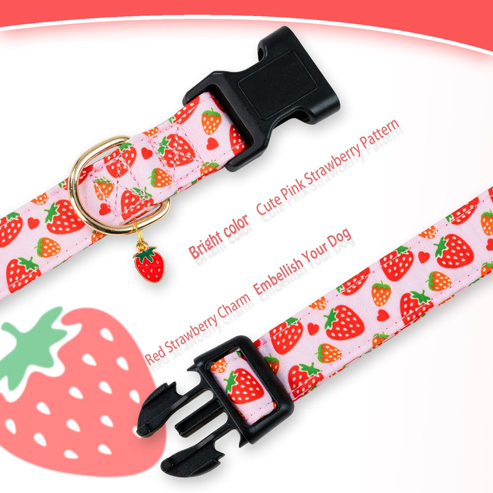 PREHAI collar de tamaño ajustable, se adapta a perros pequeños, medianos y grandes.