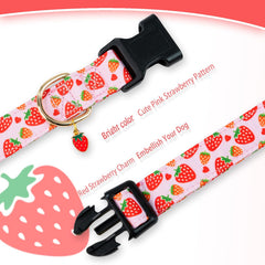 PREHAI collar de tamaño ajustable, se adapta a perros pequeños, medianos y grandes.