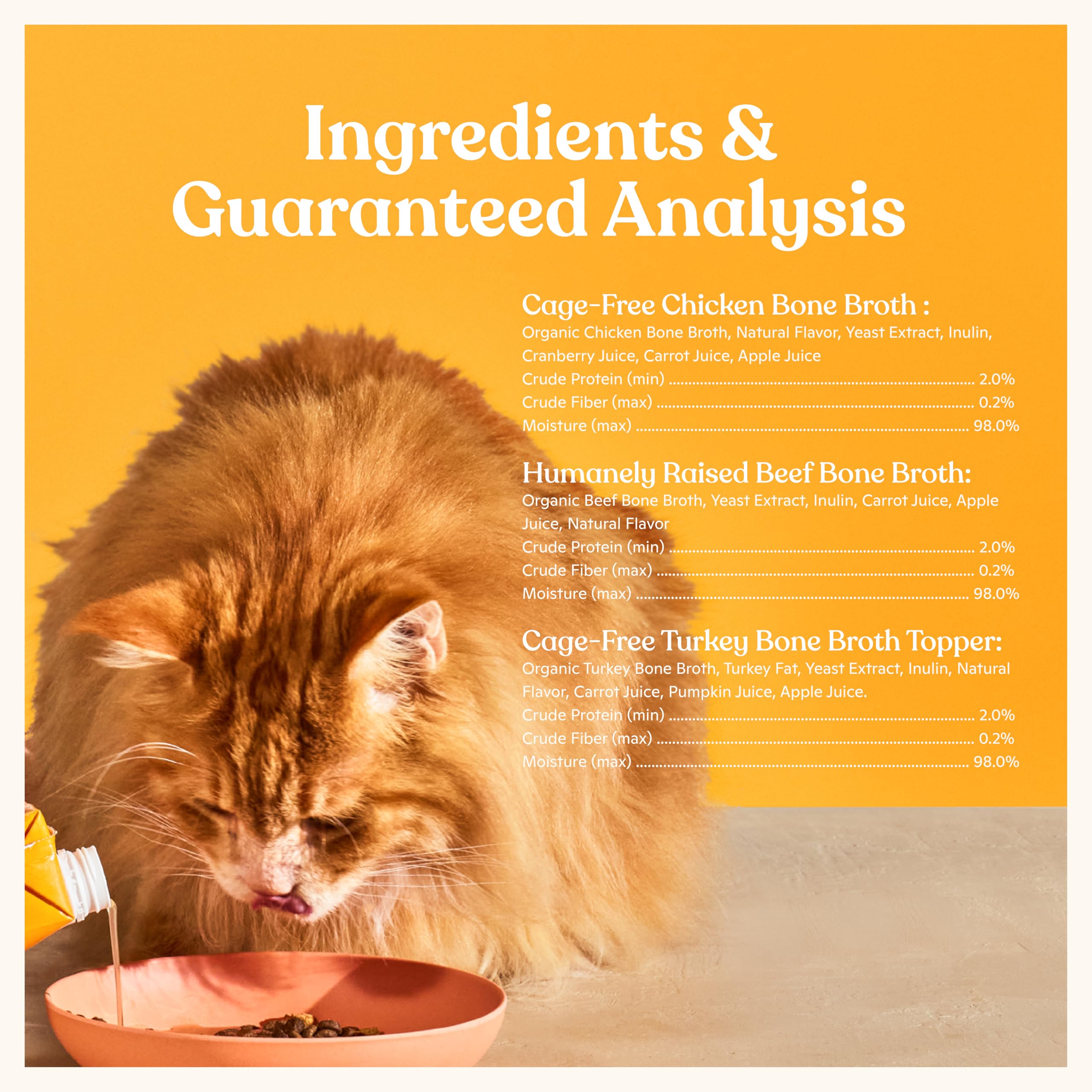 Presentación atractiva de complemento nutritivo para el plato del gato.