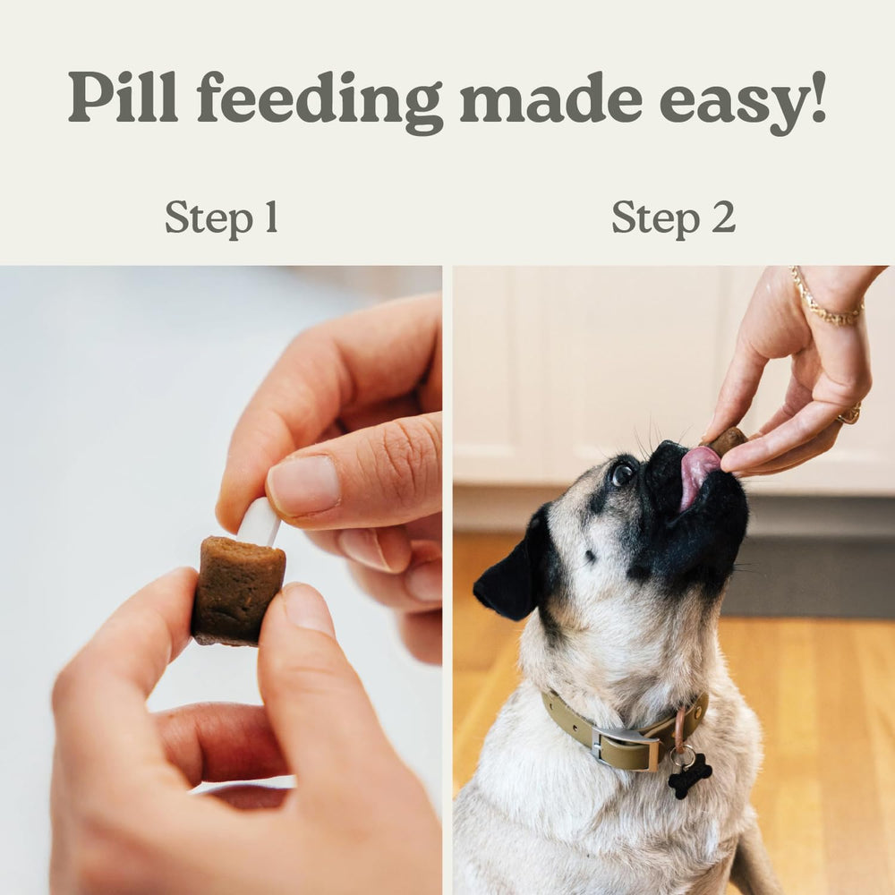 Earthly Pill Buddy Naturals como recompensa de entrenamiento