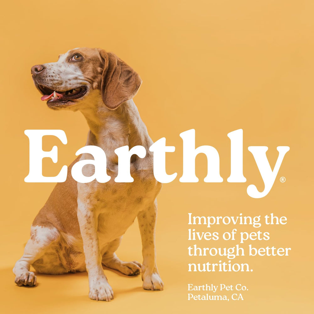 Earthly Pill Buddy Naturals, ideal para viajes con medicación