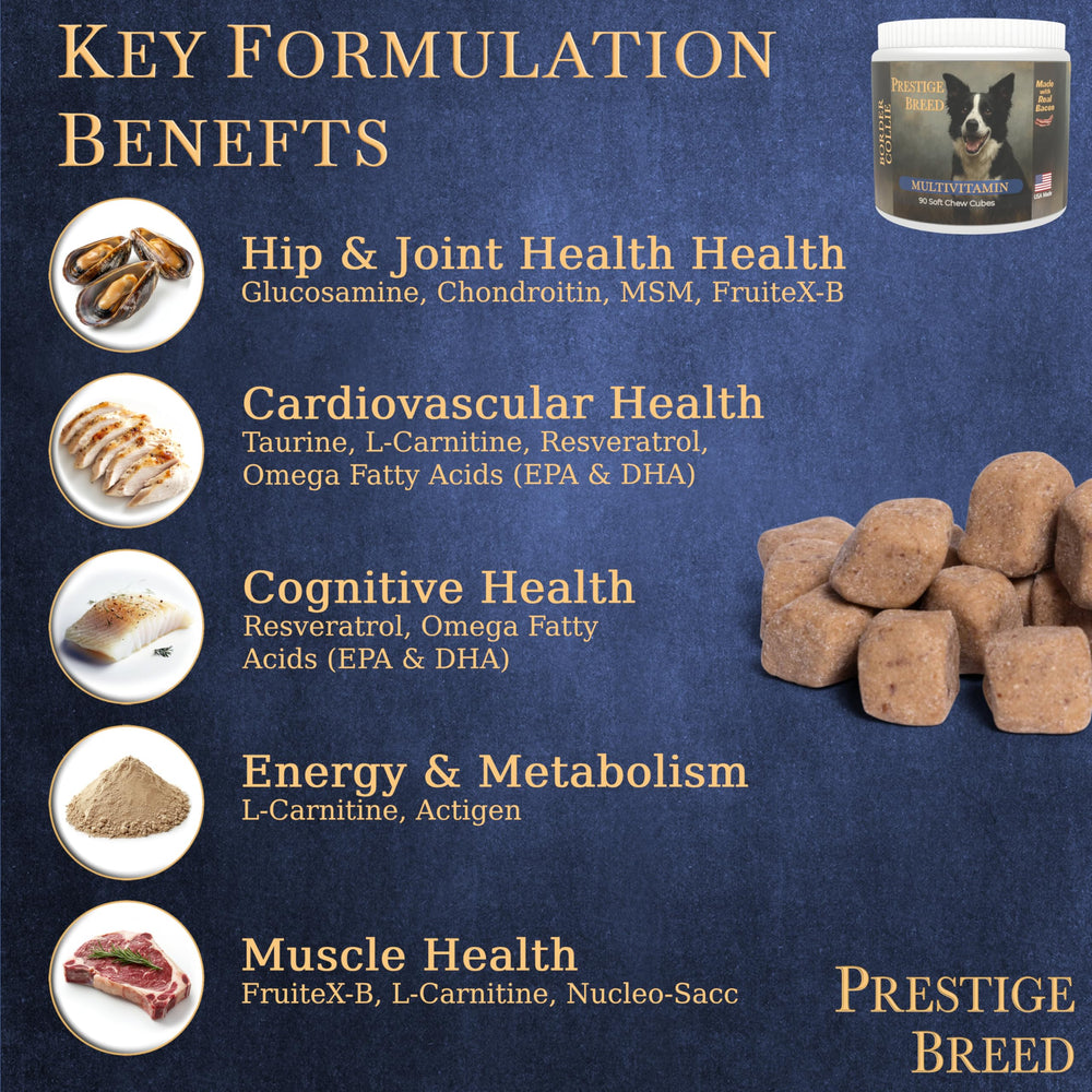 Prestige Breed Actigen, Taurina y Vitamina E para vitalidad inmunitaria.