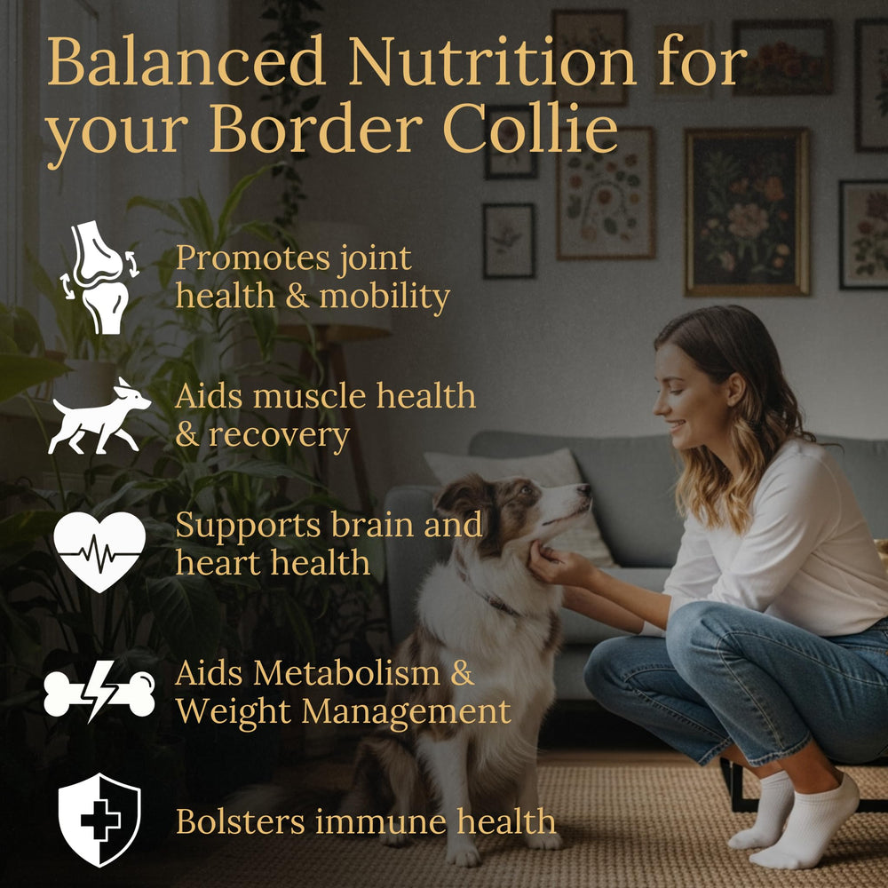 Prestige Breed Border Collie Multivitaminas, primeros planos de ingredientes clave para movilidad.