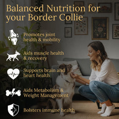 Prestige Breed Border Collie Multivitaminas, primeros planos de ingredientes clave para movilidad.