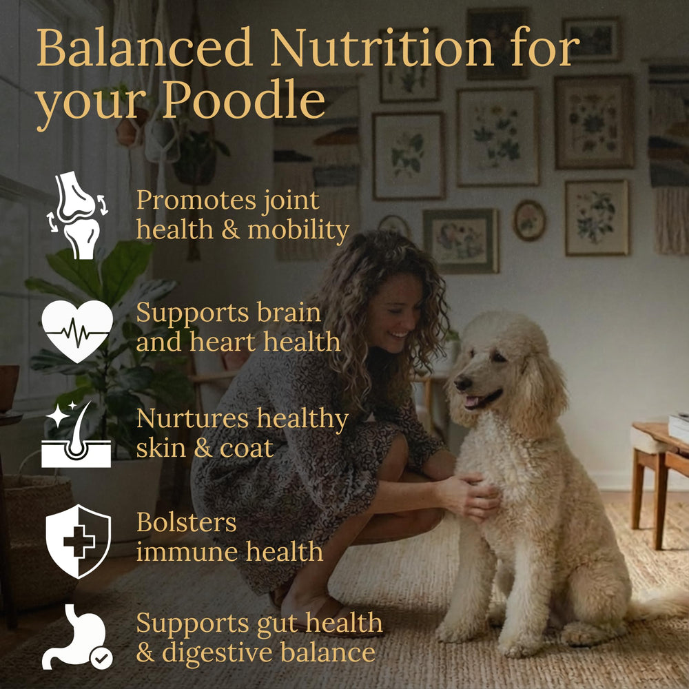 Prestige Breed Multivitaminas para caniche: sabor bacon real para rutina diaria.