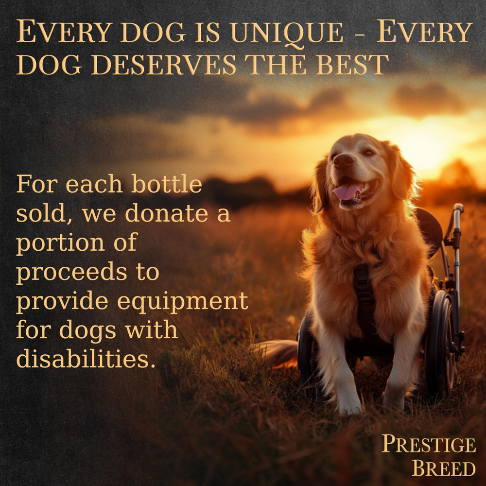 Prestige Breed Multivitaminas caniche: apoyo inmunitario y vitalidad.
