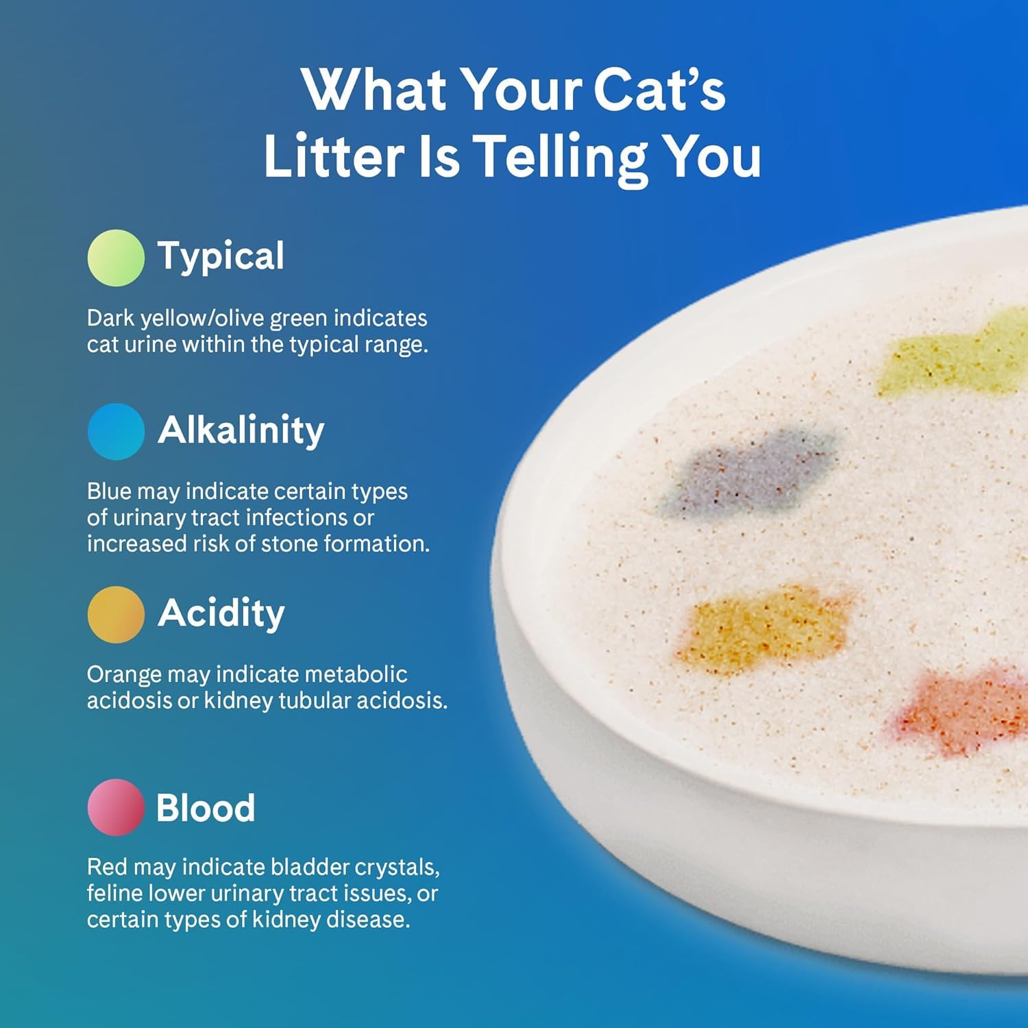 PrettyLitter adecuado para hogares con varios gatos y varias cajas.