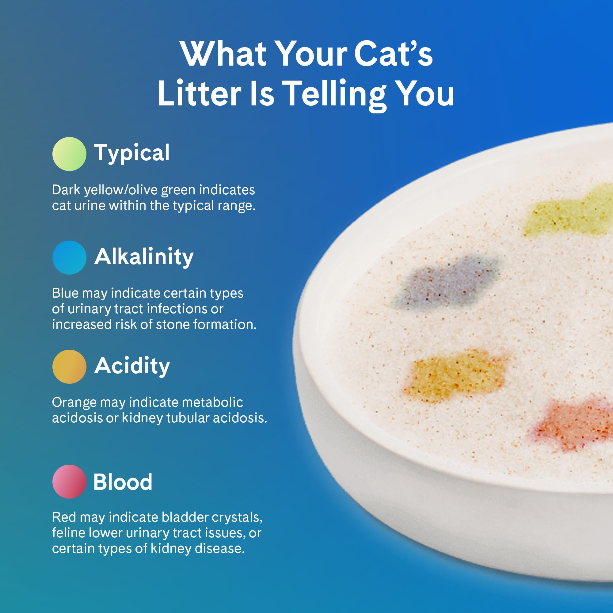 PrettyLitter: compatible con cajas de arena regulares y automáticas para mayor comodidad.