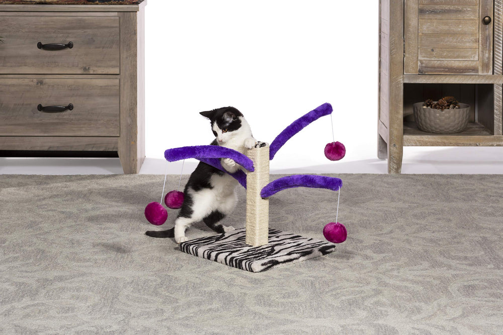 Kitty Power Bounce 'n Spring Scratcher: base 11.75x11.75 pulgadas para equilibrio