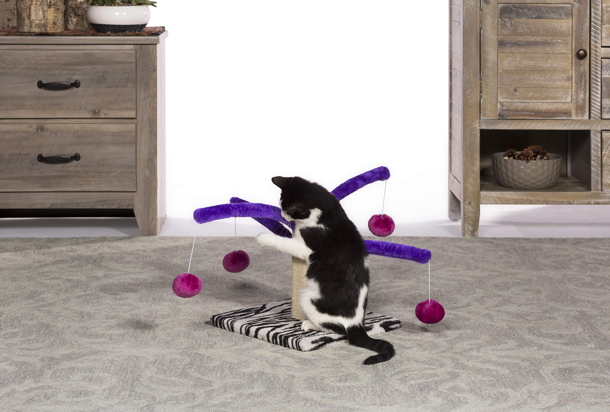 Kitty Power Bounce 'n Spring Scratcher: color morado y fucsia para estética