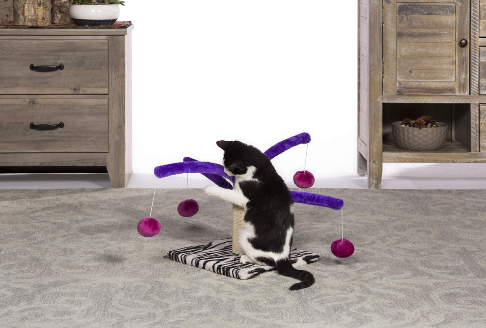 Kitty Power Bounce 'n Spring Scratcher: color morado y fucsia para estética