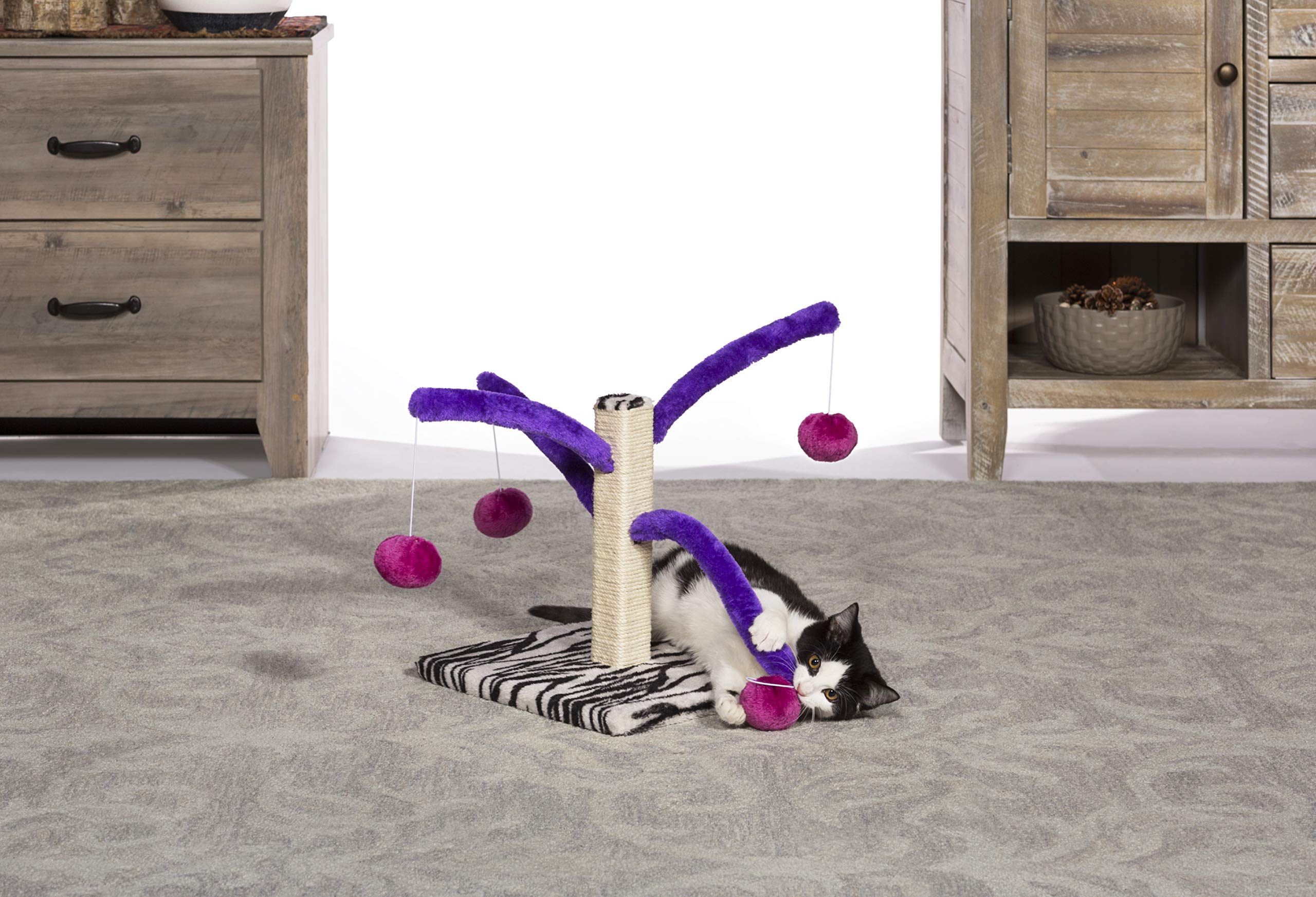 Kitty Power Bounce 'n Spring Scratcher: montaje fácil sin herramientas