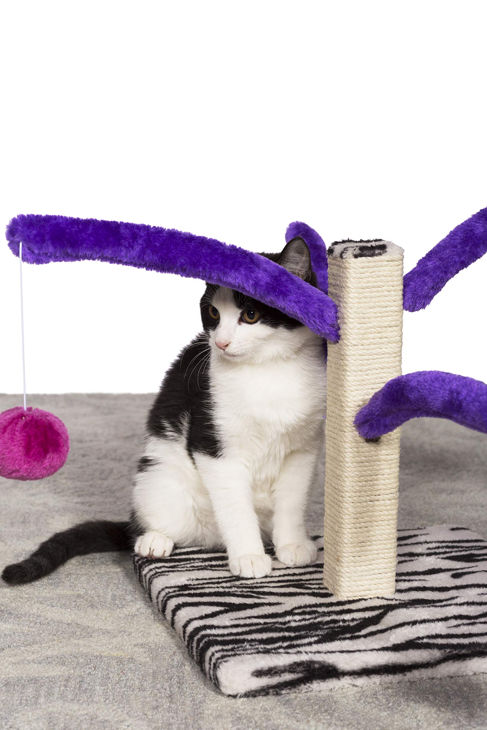Kitty Power Bounce 'n Spring Scratcher: resortes con juguetes de peluche para juego