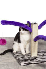 Kitty Power Bounce 'n Spring Scratcher: resortes con juguetes de peluche para juego