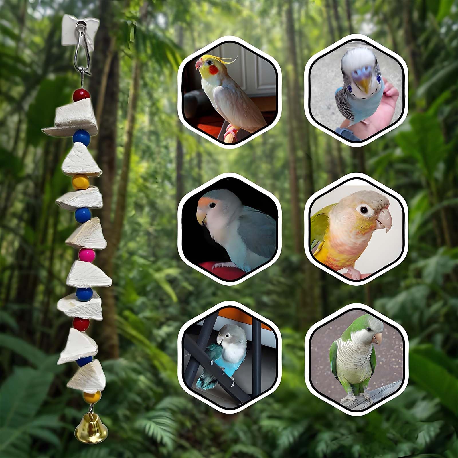 PRFOKEY Cuttlebone con calcio para aves, apoya el cuidado del pico.
