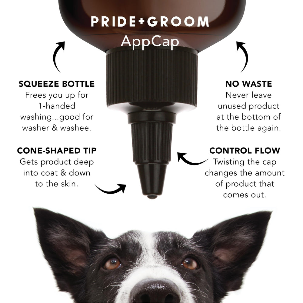 AppCap de PRIDE AND GROOM permite control de flujo en lavado.