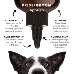 AppCap de PRIDE AND GROOM permite control de flujo en lavado.