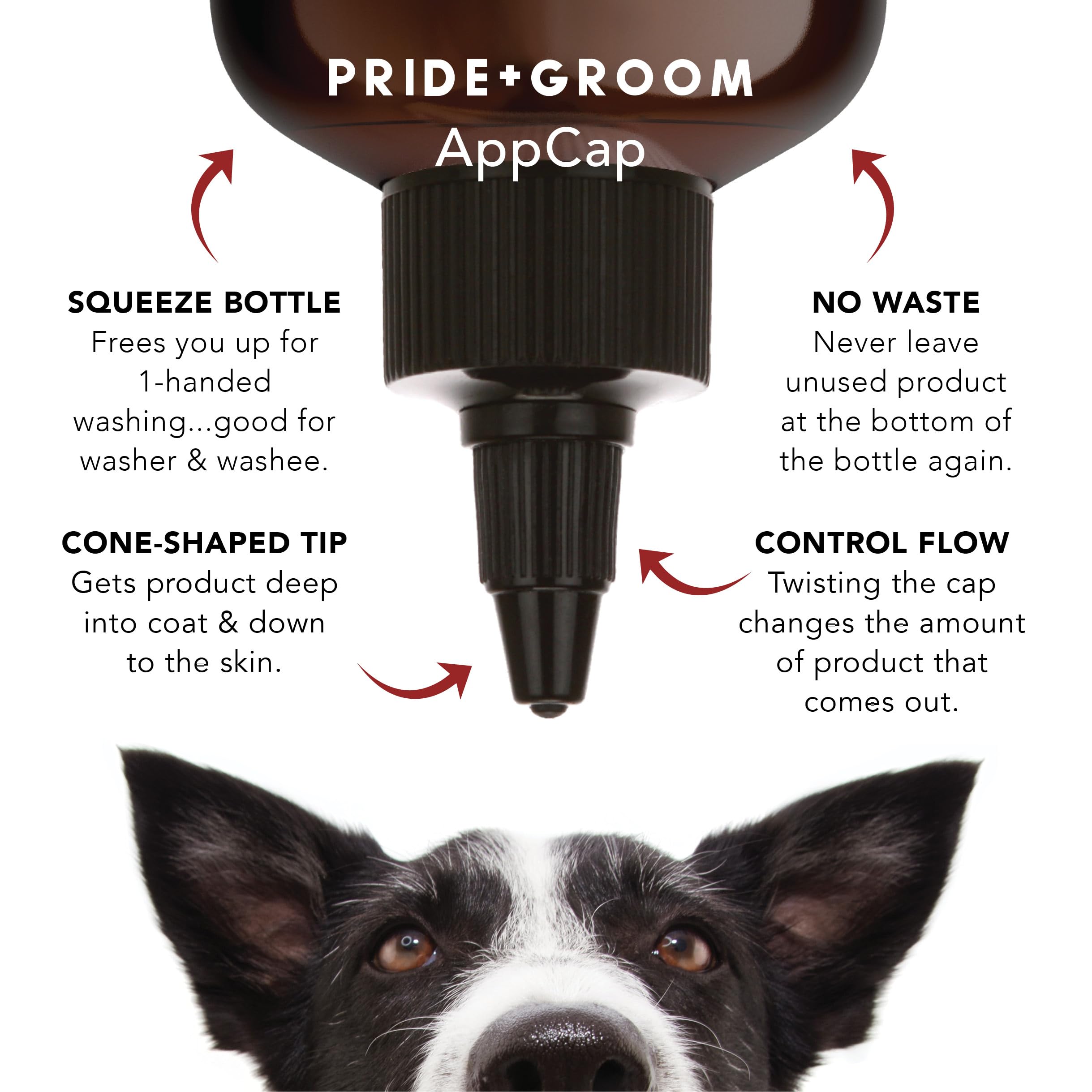 PRIDE AND GROOM champú ingredientes naturales: aceites y extractos