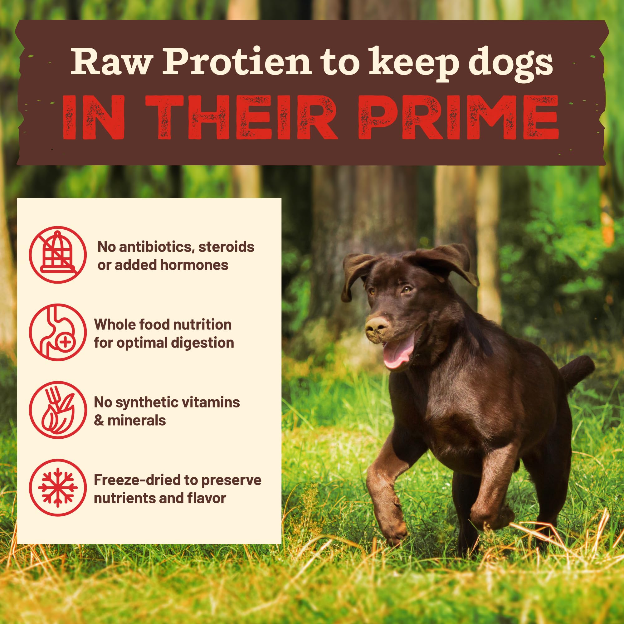 Primal ingredientes enteros: zanahoria para sabor natural y color.