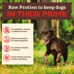 Primal ingredientes enteros: zanahoria para sabor natural y color.