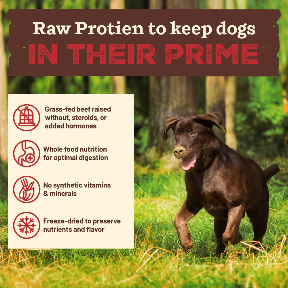 Primal Kibble en The Raw con ingredientes reales como manzana y espinaca.