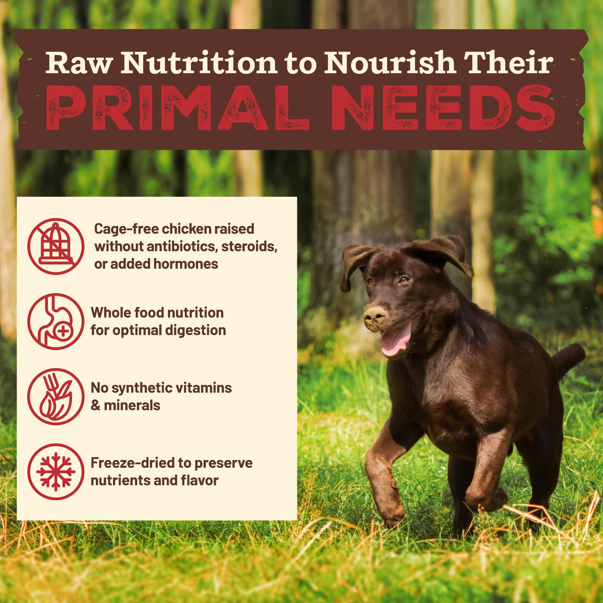 Primal Pet Foods ingredientes reales zanahorias col rizada batatas y manzanas.