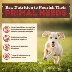 Primal Pet Foods Ingredientes Reales: zanahorias, manzanas, kale y batatas en la imagen.