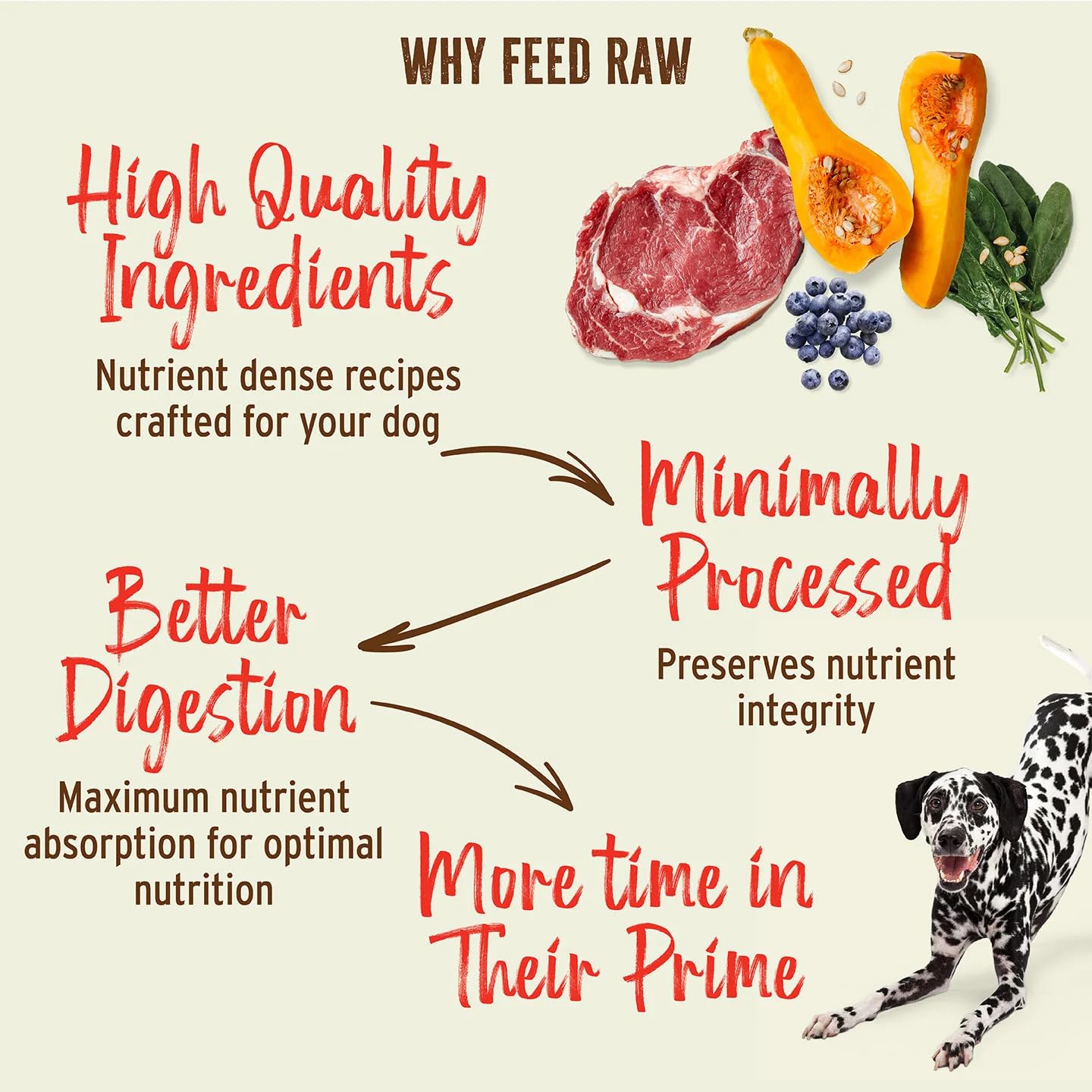 Primal Pet Foods Nuggets pato servir fácil: rehidratables y simples de servir.