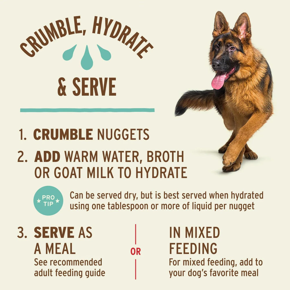Primal Pet Foods Nuggets pato sin granos: alternativa premium para perros sensibles.