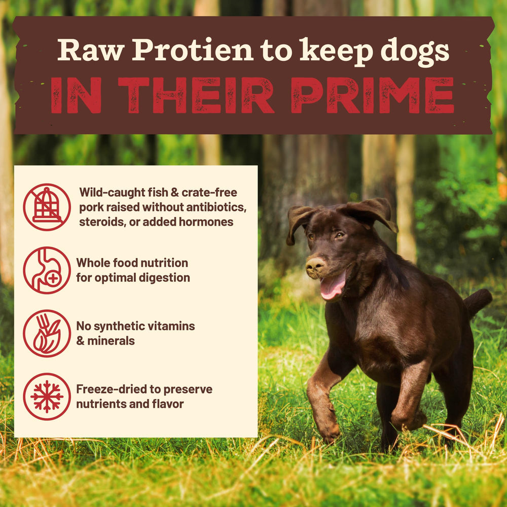Primal Pet Foods: verduras orgánicas en la mezcla para nutrientes reales