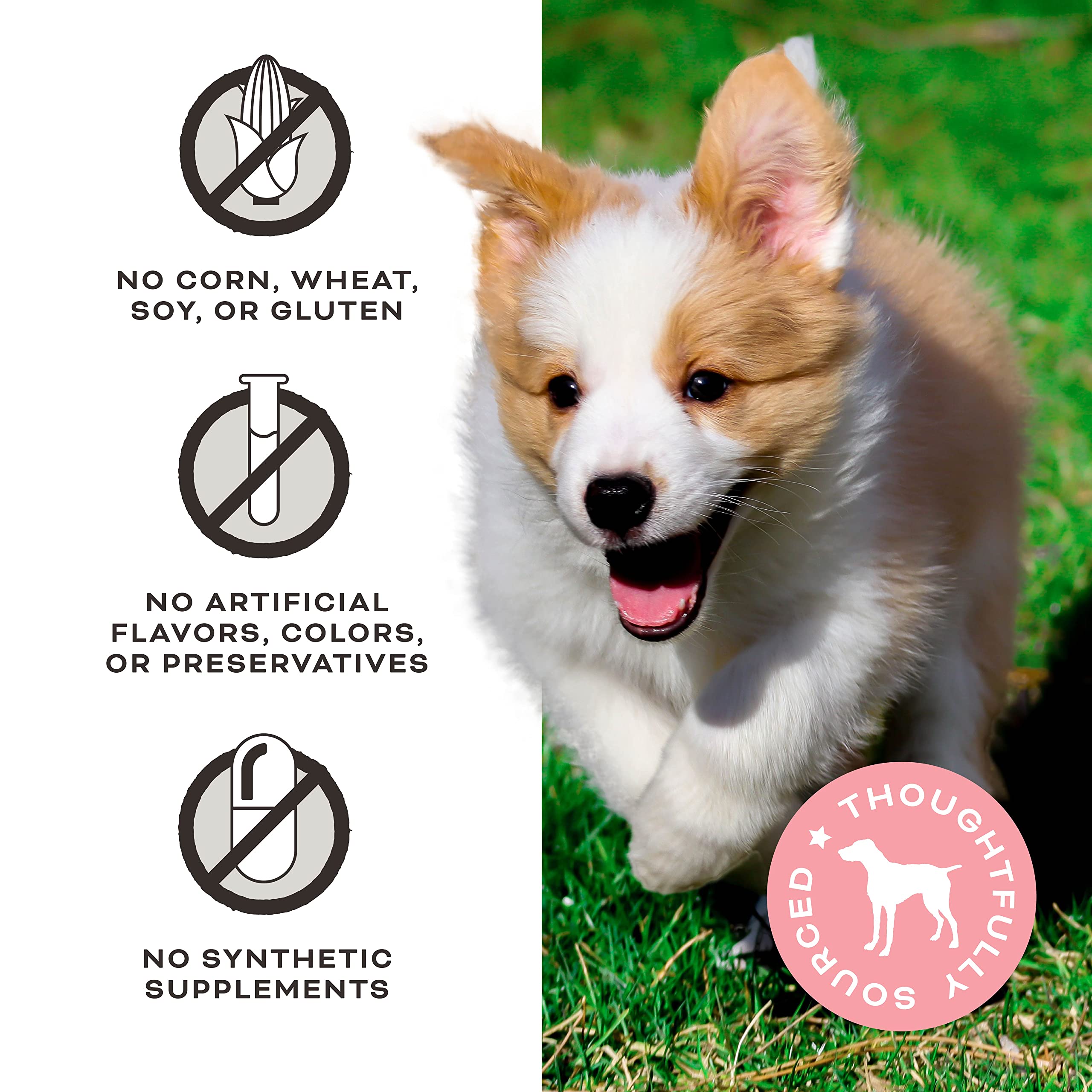 Primal Pet Foods Eres Mi Media Mantequilla trozos pequeños para perros de todos los tamaños.