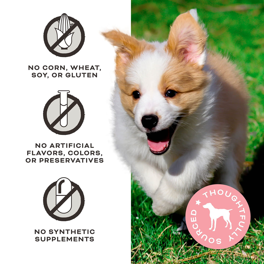 Primal Pet Foods Eres Mi Media Mantequilla trozos pequeños para perros de todos los tamaños.