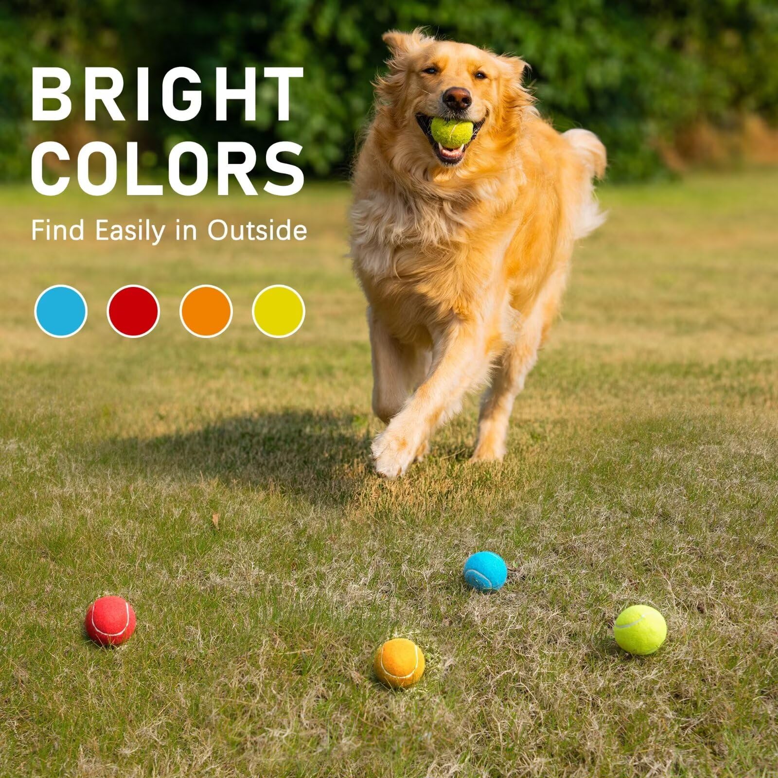 Pelotas Prime Pets fomentan juego interactivo y regalo divertido para perros.