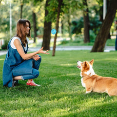 Pelotas Prime Pets con fieltro silencioso, menos ruido al rodar.