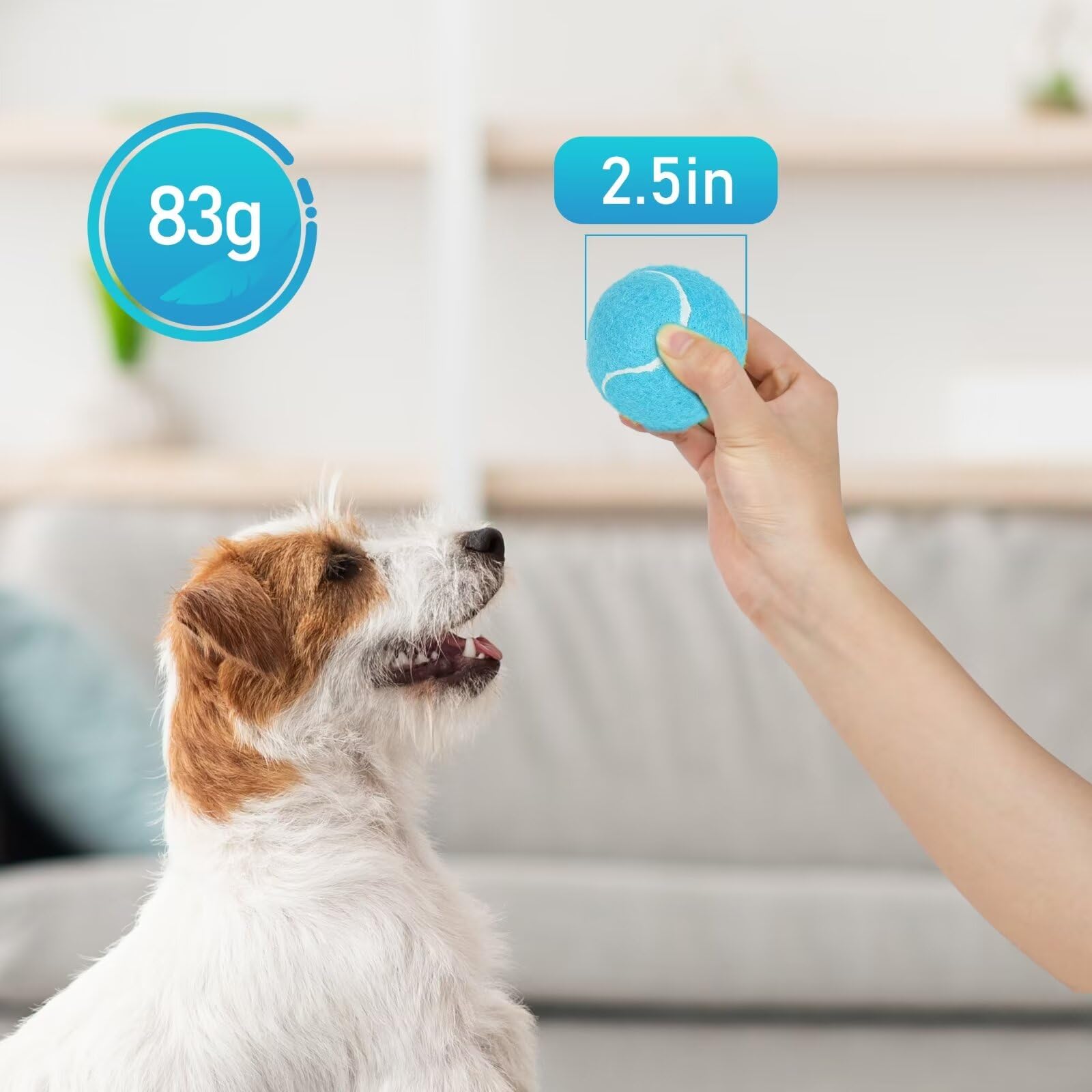 Pelotas Prime Pets en tamaños mediano y grande para razas diversas.